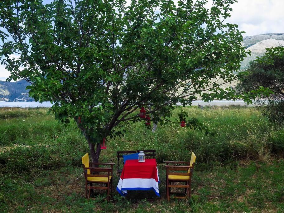 Villa Rania: Ευάερη Βίλα Με Θέα Τη Θάλασσα Lixouri Zewnętrze zdjęcie