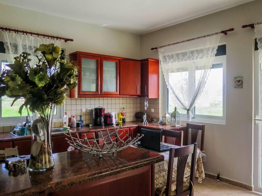 Villa Rania: Ευάερη Βίλα Με Θέα Τη Θάλασσα Lixouri Zewnętrze zdjęcie